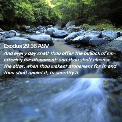 Picture 02 - Exodus 29:36 ASV - And every day shalt thou offer the bullock of - Bible Verse Picture