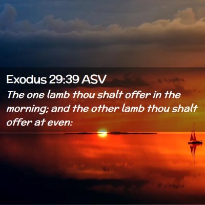 Picture 02 - Exodus 29:39 ASV - The one lamb thou shalt offer in the morning; and - Bible Verse Picture
