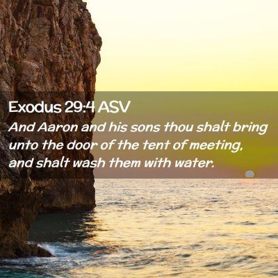 Picture 02 - Exodus 29:4 ASV - And Aaron and his sons thou shalt bring unto the - Bible Verse Picture