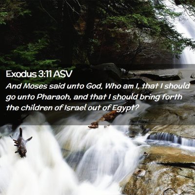 Picture 02 - Exodus 3:11 ASV - And Moses said unto God, Who am I, that I should - Bible Verse Picture
