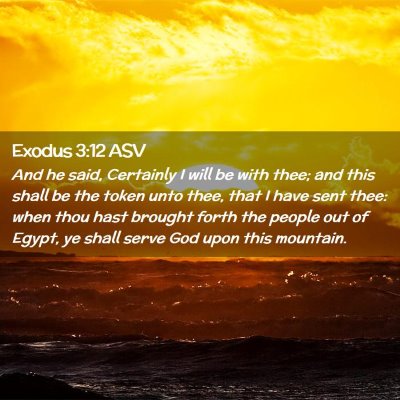Picture 02 - Exodus 3:12 ASV - And he said, Certainly I will be with thee; and - Bible Verse Picture