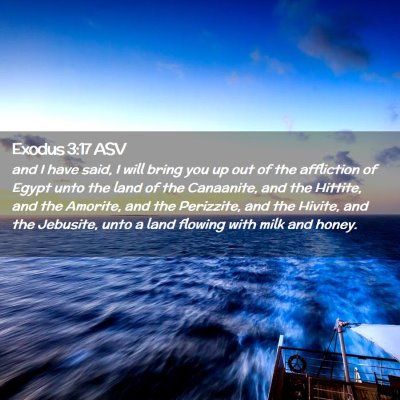 Picture 02 - Exodus 3:17 ASV - and I have said, I will bring you up out of the - Bible Verse Picture