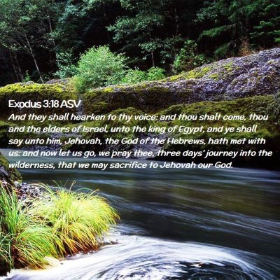 Picture 02 - Exodus 3:18 ASV - And they shall hearken to thy voice: and thou - Bible Verse Picture