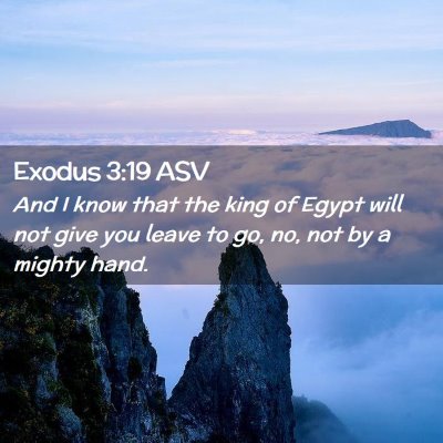 Picture 02 - Exodus 3:19 ASV - And I know that the king of Egypt will not give - Bible Verse Picture