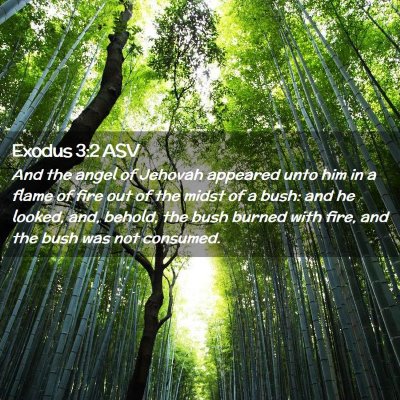 Picture 02 - Exodus 3:2 ASV - And the angel of Jehovah appeared unto him in a - Bible Verse Picture