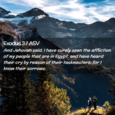 Picture 02 - Exodus 3:7 ASV - And Jehovah said, I have surely seen the - Bible Verse Picture