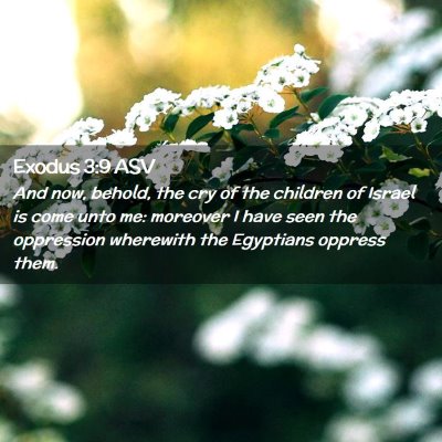 Picture 02 - Exodus 3:9 ASV - And now, behold, the cry of the children of - Bible Verse Picture