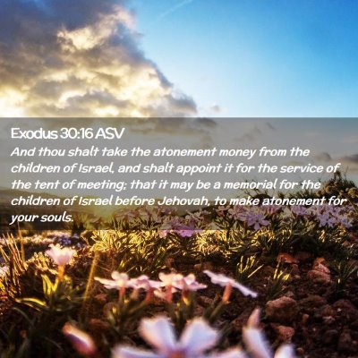 Picture 02 - Exodus 30:16 ASV - And thou shalt take the atonement money from the - Bible Verse Picture