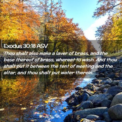 Picture 02 - Exodus 30:18 ASV - Thou shalt also make a laver of brass, and the - Bible Verse Picture