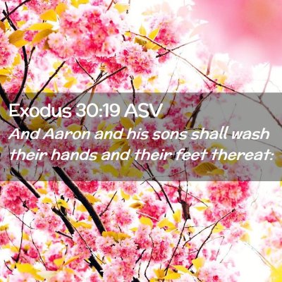 Picture 02 - Exodus 30:19 ASV - And Aaron and his sons shall wash their hands and - Bible Verse Picture