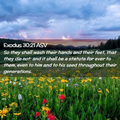Picture 02 - Exodus 30:21 ASV - So they shall wash their hands and their feet, - Bible Verse Picture