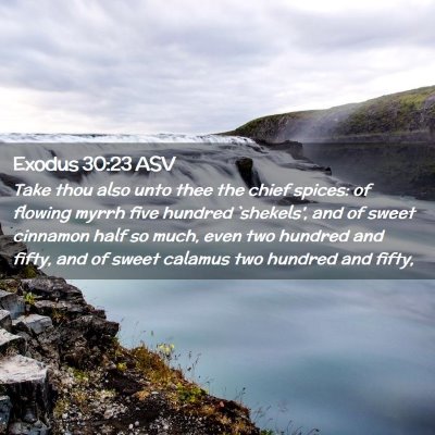 Picture 02 - Exodus 30:23 ASV - Take thou also unto thee the chief spices: of - Bible Verse Picture