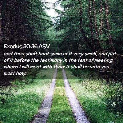 Picture 02 - Exodus 30:36 ASV - and thou shalt beat some of it very small, and - Bible Verse Picture