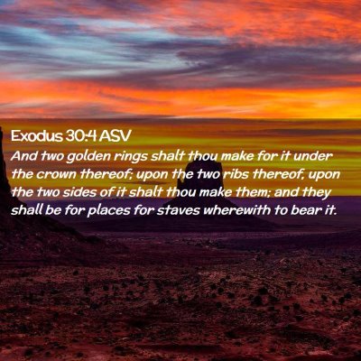 Picture 02 - Exodus 30:4 ASV - And two golden rings shalt thou make for it under - Bible Verse Picture