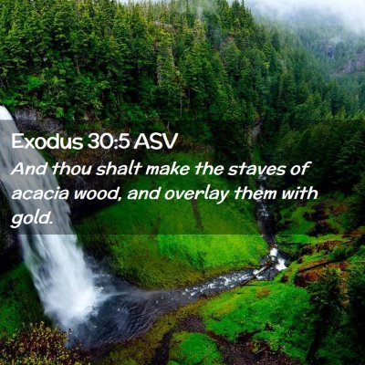 Picture 02 - Exodus 30:5 ASV - And thou shalt make the staves of acacia wood, - Bible Verse Picture