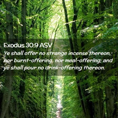 Picture 02 - Exodus 30:9 ASV - Ye shall offer no strange incense thereon, nor - Bible Verse Picture