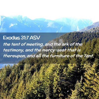 Picture 02 - Exodus 31:7 ASV - the tent of meeting, and the ark of the - Bible Verse Picture