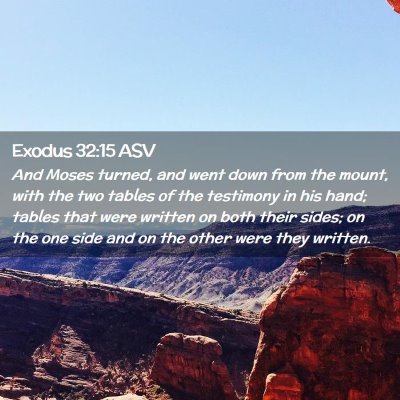 Picture 02 - Exodus 32:15 ASV - And Moses turned, and went down from the mount, - Bible Verse Picture