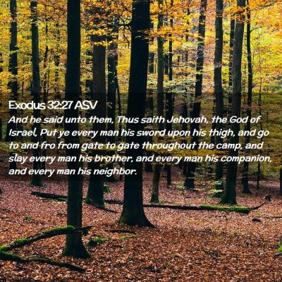 Picture 02 - Exodus 32:27 ASV - And he said unto them, Thus saith Jehovah, the - Bible Verse Picture