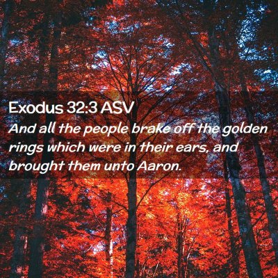 Picture 02 - Exodus 32:3 ASV - And all the people brake off the golden rings - Bible Verse Picture