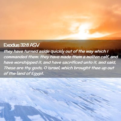 Picture 02 - Exodus 32:8 ASV - they have turned aside quickly out of the way - Bible Verse Picture
