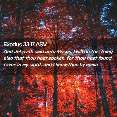 Picture 02 - Exodus 33:17 ASV - And Jehovah said unto Moses, I will do this thing - Bible Verse Picture