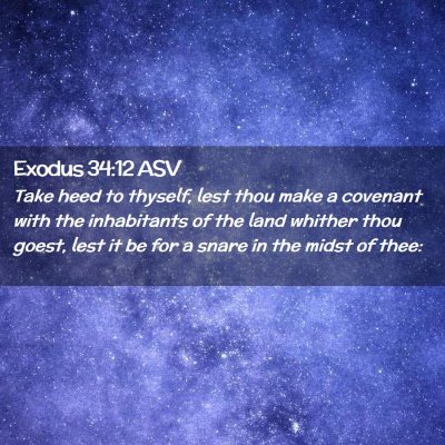 Picture 02 - Exodus 34:12 ASV - Take heed to thyself, lest thou make a covenant - Bible Verse Picture