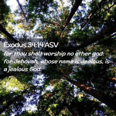 Picture 02 - Exodus 34:14 ASV - for thou shalt worship no other god: for Jehovah, - Bible Verse Picture