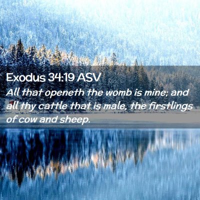 Picture 02 - Exodus 34:19 ASV - All that openeth the womb is mine; and all thy - Bible Verse Picture