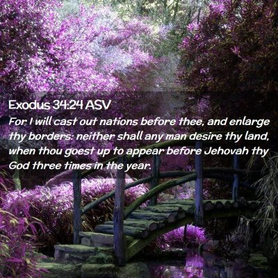 Picture 02 - Exodus 34:24 ASV - For I will cast out nations before thee, and - Bible Verse Picture
