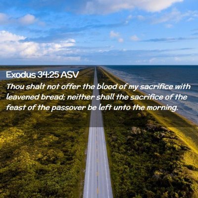 Picture 02 - Exodus 34:25 ASV - Thou shalt not offer the blood of my sacrifice - Bible Verse Picture