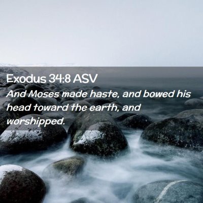 Picture 02 - Exodus 34:8 ASV - And Moses made haste, and bowed his head toward - Bible Verse Picture