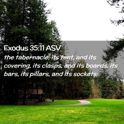 Picture 02 - Exodus 35:11 ASV - the tabernacle, its tent, and its covering, its - Bible Verse Picture