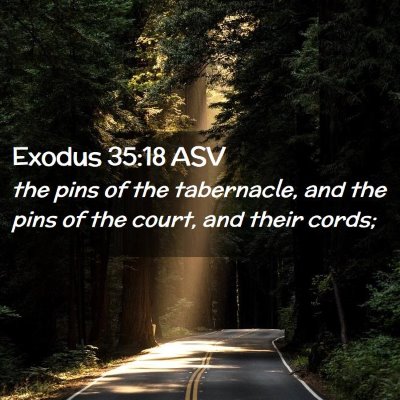 Picture 02 - Exodus 35:18 ASV - the pins of the tabernacle, and the pins of the - Bible Verse Picture