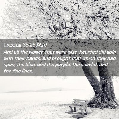 Picture 02 - Exodus 35:25 ASV - And all the women that were wise-hearted did spin - Bible Verse Picture