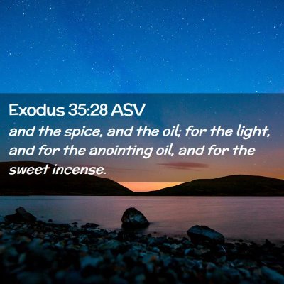 Picture 02 - Exodus 35:28 ASV - and the spice, and the oil; for the light, and - Bible Verse Picture