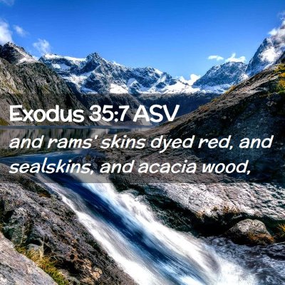 Picture 02 - Exodus 35:7 ASV - and rams' skins dyed red, and sealskins, and - Bible Verse Picture