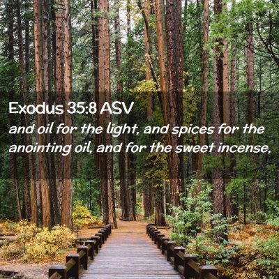 Picture 02 - Exodus 35:8 ASV - and oil for the light, and spices for the - Bible Verse Picture