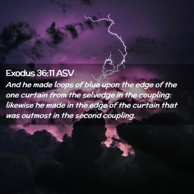 Picture 02 - Exodus 36:11 ASV - And he made loops of blue upon the edge of the - Bible Verse Picture