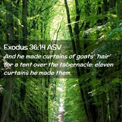 Picture 02 - Exodus 36:14 ASV - And he made curtains of goats' `hair' for a tent - Bible Verse Picture