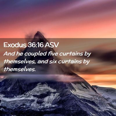 Picture 02 - Exodus 36:16 ASV - And he coupled five curtains by themselves, and - Bible Verse Picture
