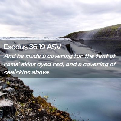 Picture 02 - Exodus 36:19 ASV - And he made a covering for the tent of rams' - Bible Verse Picture
