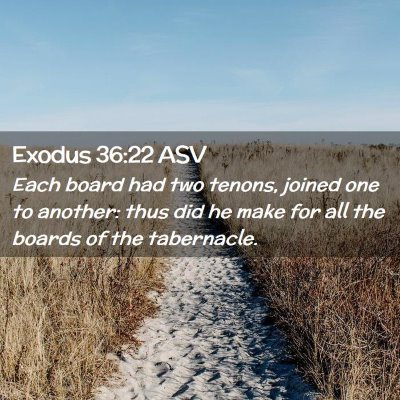 Picture 02 - Exodus 36:22 ASV - Each board had two tenons, joined one to another: - Bible Verse Picture