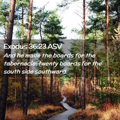 Picture 02 - Exodus 36:23 ASV - And he made the boards for the tabernacle: twenty - Bible Verse Picture