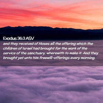 Picture 02 - Exodus 36:3 ASV - and they received of Moses all the offering which - Bible Verse Picture