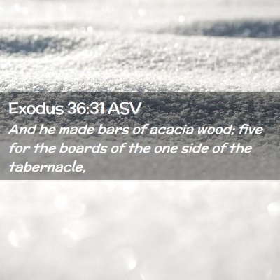 Picture 02 - Exodus 36:31 ASV - And he made bars of acacia wood; five for the - Bible Verse Picture