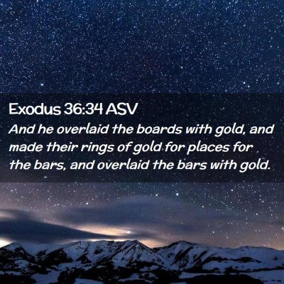 Picture 02 - Exodus 36:34 ASV - And he overlaid the boards with gold, and made - Bible Verse Picture