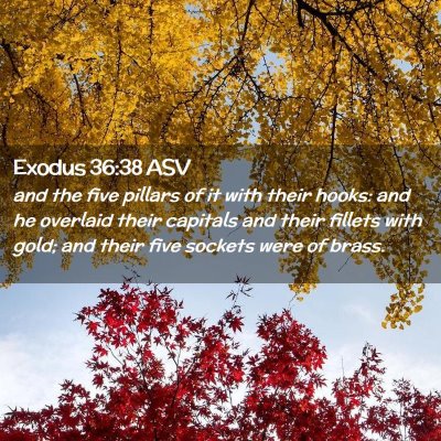 Picture 02 - Exodus 36:38 ASV - and the five pillars of it with their hooks: and - Bible Verse Picture