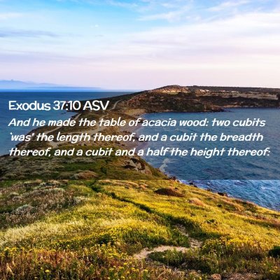 Picture 02 - Exodus 37:10 ASV - And he made the table of acacia wood: two cubits - Bible Verse Picture