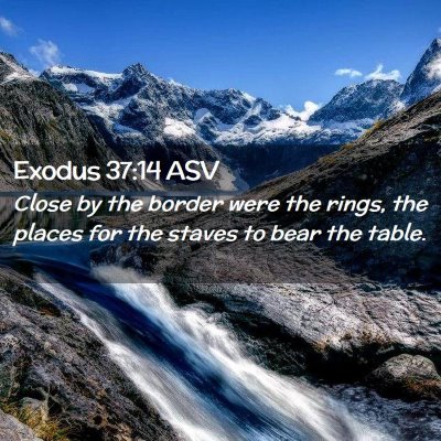 Picture 02 - Exodus 37:14 ASV - Close by the border were the rings, the places - Bible Verse Picture